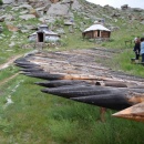 13th Century Camp Mongolia